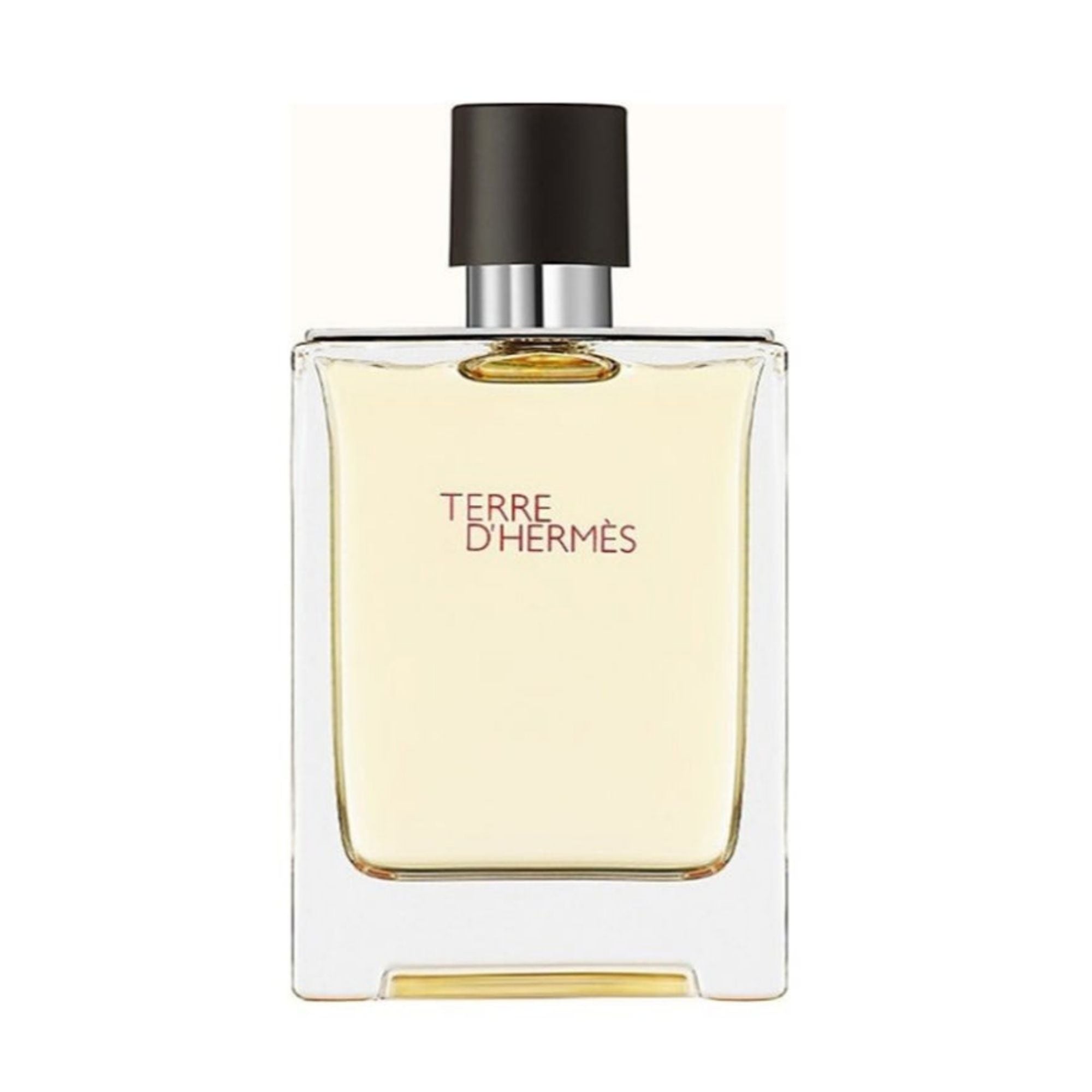 Hermes Terre D'Hermes EDT For Men 100ML