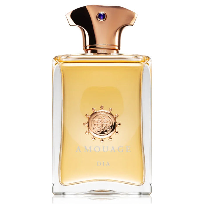 Amouage Dia For Men Eau E Parfum 100ml (New Packing)
